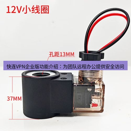 快连 快连VPN企业版功能介绍：为团队远程办公提供安全访问