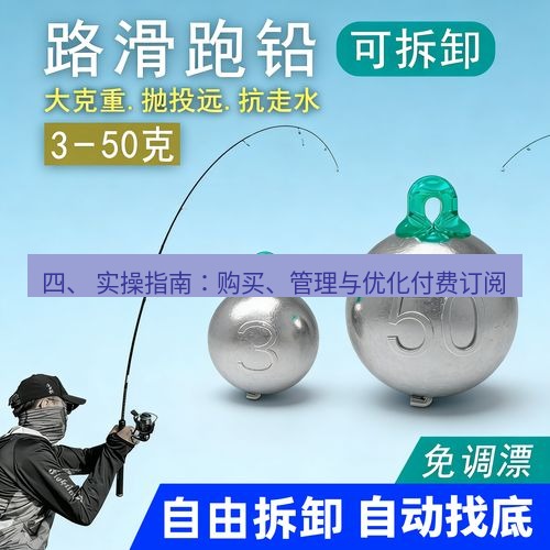 快连 四、 实操指南：购买、管理与优化付费订阅