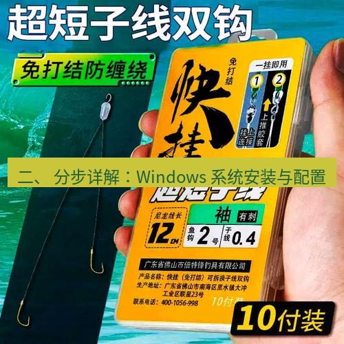 快连 二、 分步详解：Windows 系统安装与配置