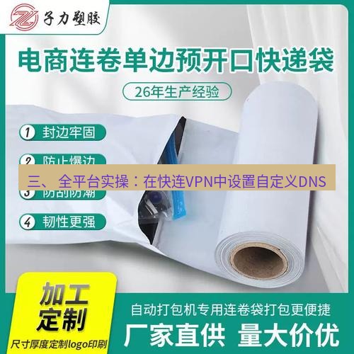 快连 三、 全平台实操：在快连VPN中设置自定义DNS