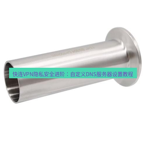 快连 快连VPN隐私安全进阶：自定义DNS服务器设置教程