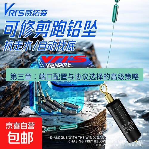 快连 第三章：端口配置与协议选择的高级策略