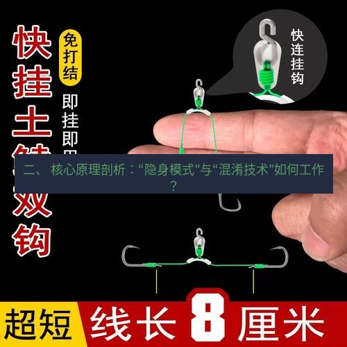 快连 二、 核心原理剖析：“隐身模式”与“混淆技术”如何工作？