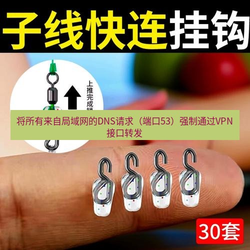 快连 将所有来自局域网的DNS请求（端口53）强制通过VPN接口转发