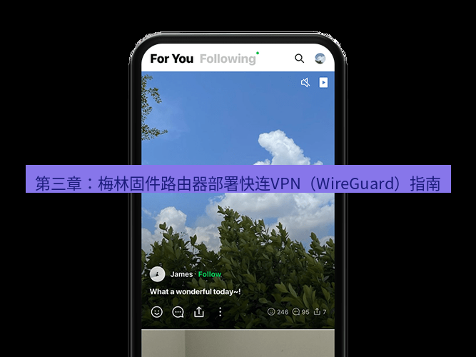快连 第三章：梅林固件路由器部署快连VPN（WireGuard）指南