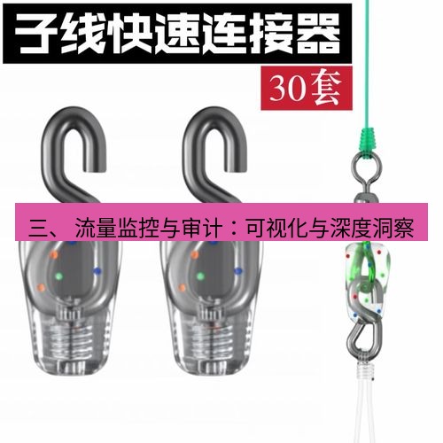 快连 三、 流量监控与审计：可视化与深度洞察