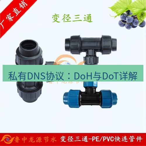 快连 私有DNS协议：DoH与DoT详解