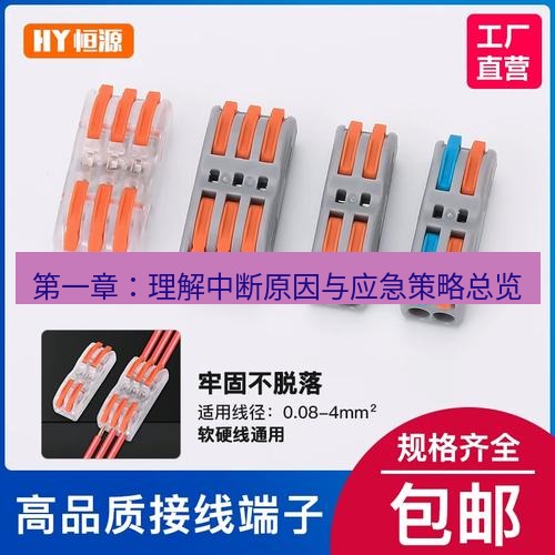 快连 第一章：理解中断原因与应急策略总览