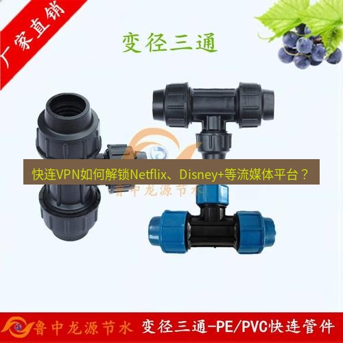 快连 快连VPN如何解锁Netflix、Disney+等流媒体平台？