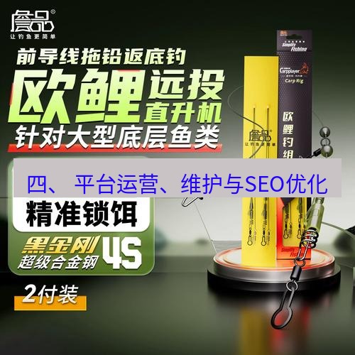 快连 四、 平台运营、维护与SEO优化