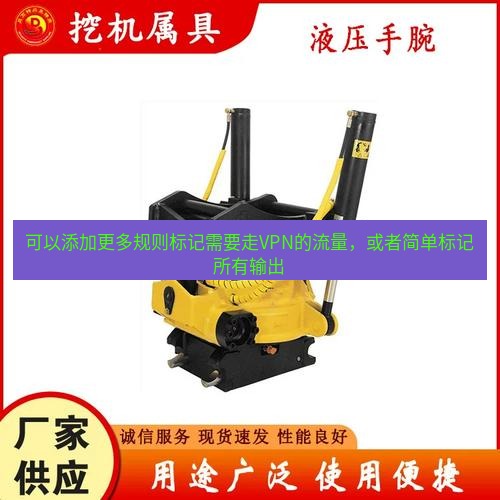快连 可以添加更多规则标记需要走VPN的流量，或者简单标记所有输出
